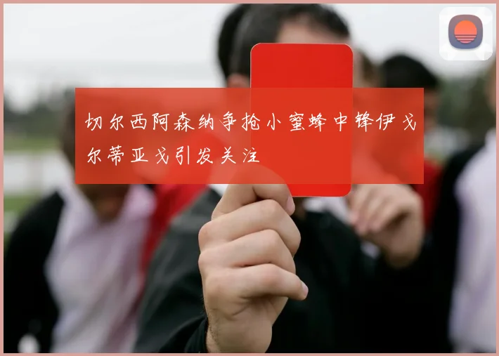 切尔西阿森纳争抢小蜜蜂中锋伊戈尔蒂亚戈引发关注
