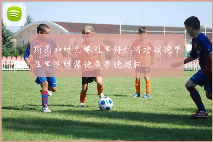 斯图加特无缘冠军拜仁将迎战德甲亚军多特蒙德争夺德超杯